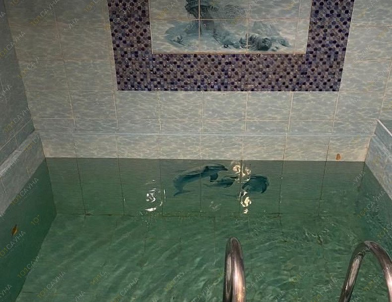 Русская баня На Петербургском шоссе 119, в Твери, Петербургское шоссе, 119 | Большой зал с бильярдом и бассейном. Фото 3 | 1001sauna.com