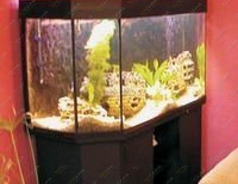 Сауна Ночной бриз, в Казани, Голубятникова, 28 | Сауна Ночной бриз. Казань. Каталог: бани и сауны Казани. Фото 2 | 1001sauna.com