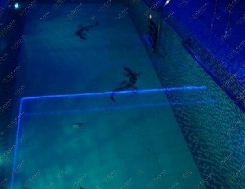 Сауна Арарат, в Сургуте, Центральная, 17 | Сауна "Арарат". Сургут. Финская сауна, русская банька на дровах. Фото 16 | 1001sauna.com