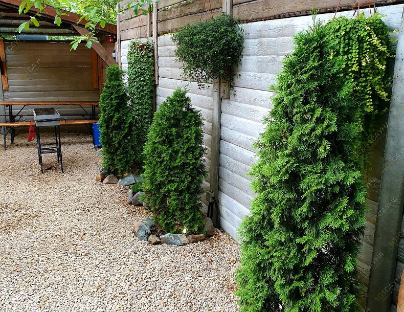 Баня с банщиком В Залесье, в Симферополе, улица Победы, 2 | ДВОРИК В ЗАЛЕСЬЕ. Фото 52 | 1001sauna.com