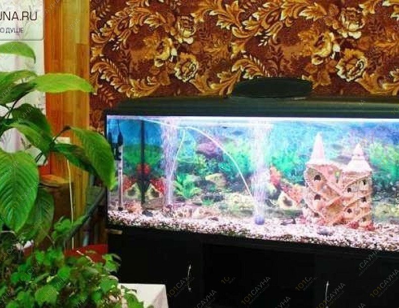 Сауна Нечаевская, в Иванове, Челышева, 9 | 5 | 1001sauna.com