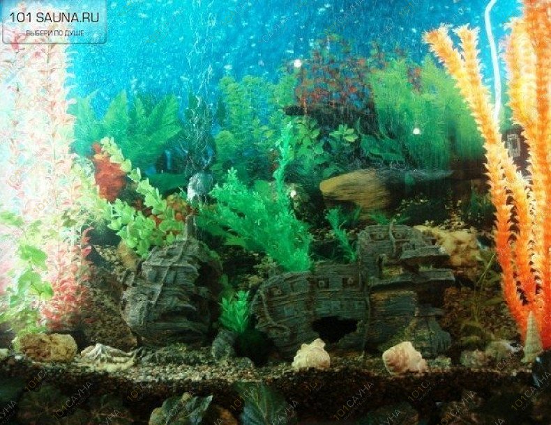 Сауна Берег, в Петрозаводске, Онежской флотилии, 1 | 6 | 1001sauna.com
