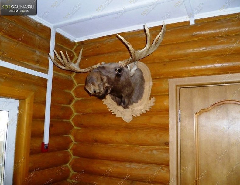 Сауна На Ясной, в Омске, Ясная, 15 | 12 | 1001sauna.com