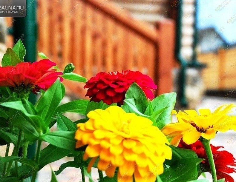 Сауна в ГД Светлый терем, в Суздале, ул. Льва Толстого, 21 | 4 | 1001sauna.com