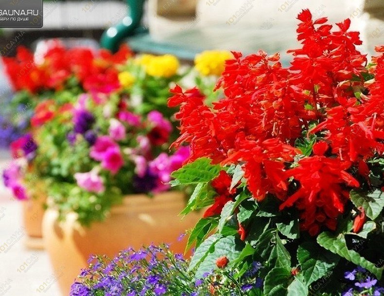 Сауна в ГД Светлый терем, в Суздале, ул. Льва Толстого, 21 | 7 | 1001sauna.com