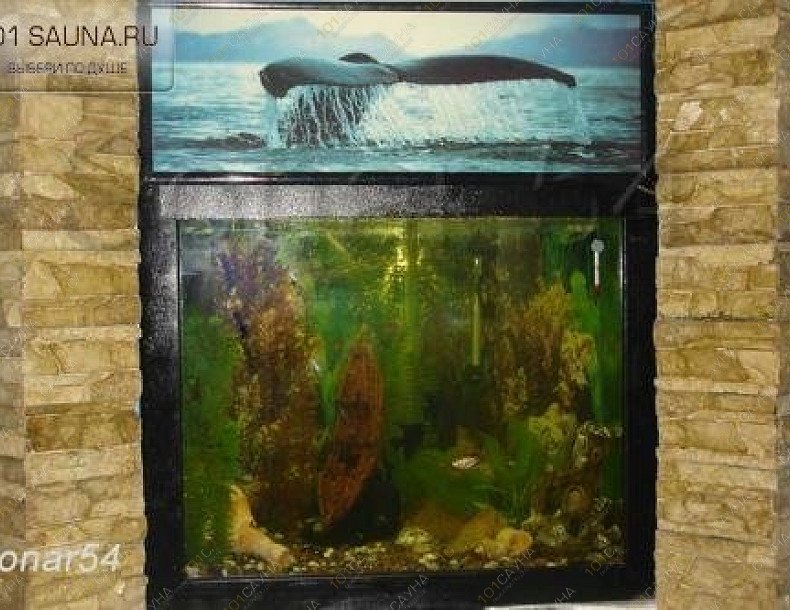 Сауна Браво, в Новосибирске, Кропоткина, 269/1 | 10 | 1001sauna.com