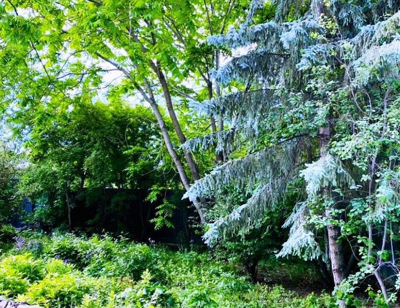 Коттедж Золотая подкова, в Новосибирске, Немировича-Данченко, 11 | 38 | 1001sauna.com