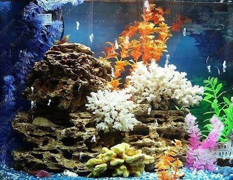 Сауна Майами Люкс, в Новосибирске, Бориса Богаткова, 132/2 | 5 | 1001sauna.com