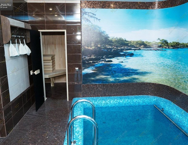 Cауна-коттедж VIP Золотой лев, в Липецке, г. Липецк, с. Сырское, ул. Одноличка, д. 42А | 18 | 1001sauna.com