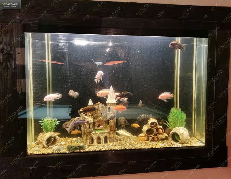 Сауна Хали - Гали, в Тамбове, Чичерина, 18А | Хали - Гали  | 1001sauna.com