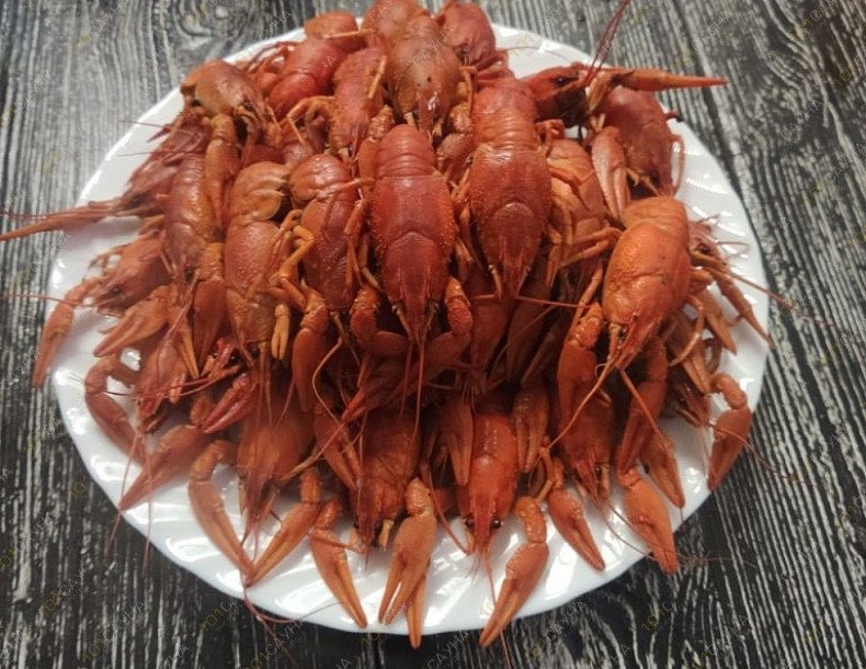 Банный комплекс Очаковские бани, в Москве, Большая Очаковская, 35 | 58 | 1001sauna.com