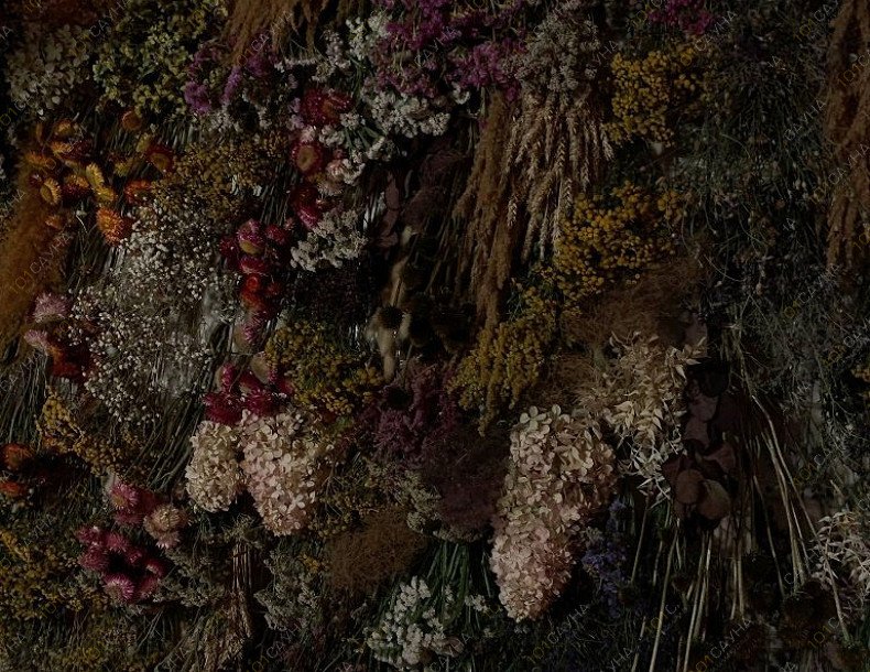 Комплекс Добрая баня, в Пскове, СНТ Малое Фомкино 1 | 7 | 1001sauna.com