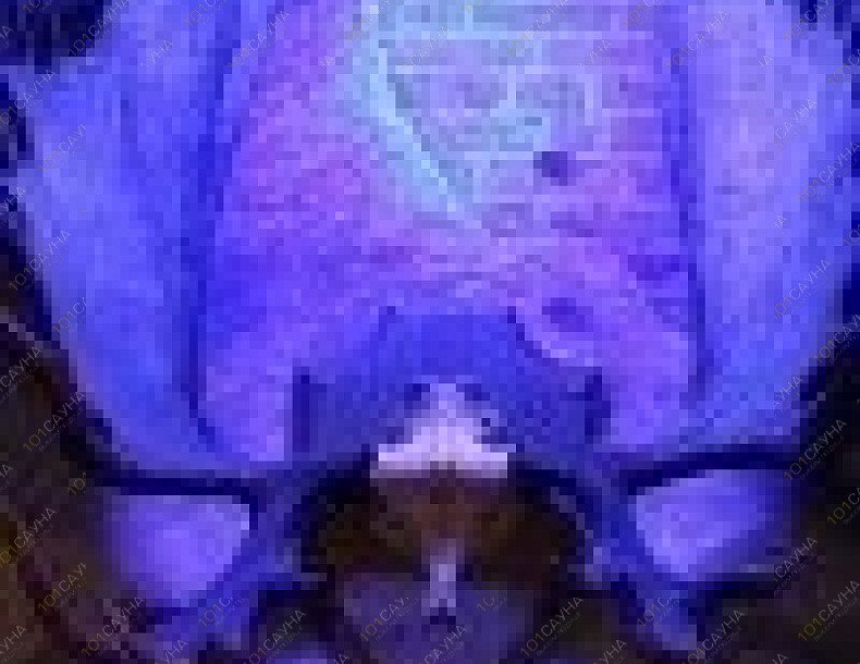 Сауна Мальтийский замок, в Владивостоке, Крыгина, 3 | 17 | 1001sauna.com