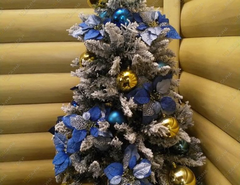 Сауна Кедровая падь, в Владивостоке, Маковского, 103а | 14 | 1001sauna.com