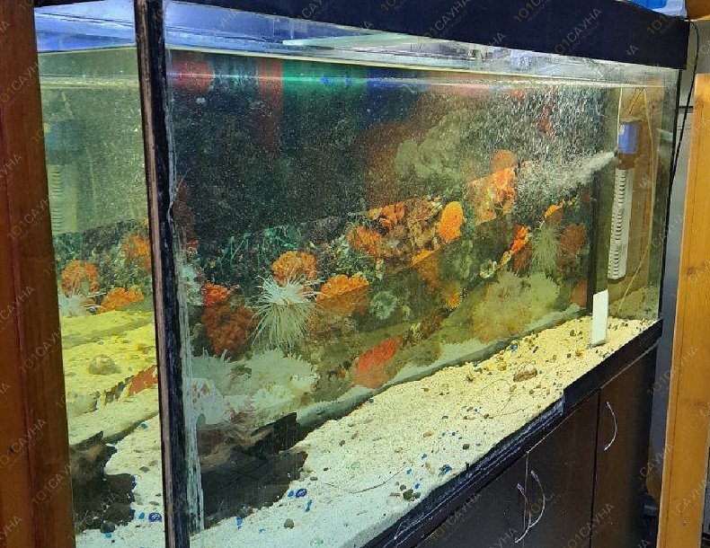 Сауна Москворецкая, в Москве, Воскресенск, ул. Рабочая, 122 | 6 | 1001sauna.com