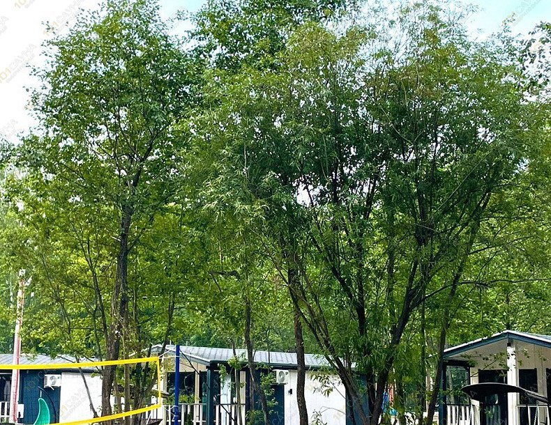 Комплекс Уральские зори 40, в Чебаркуле, оз. Еловое, ГК «Уральские Зори», 1 | 4 | 1001sauna.com