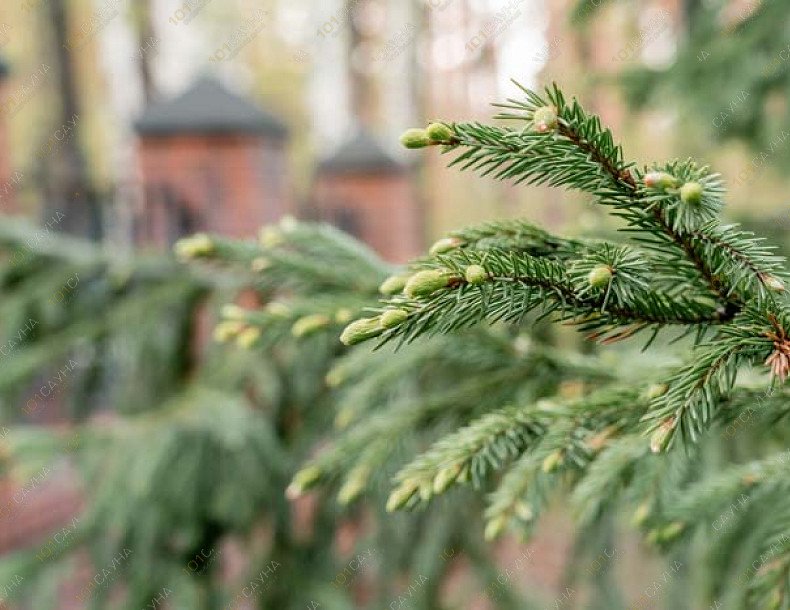 Комплекс Уральские зори 40, в Чебаркуле, оз. Еловое, ГК «Уральские Зори», 1 | 11 | 1001sauna.com