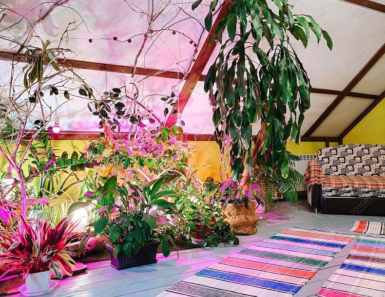 сауна Арт Хаус, в Перми, ул. Костарёвская, 24а | Номер "Баня 1 - Арт хаус": 6 | 1001sauna.com