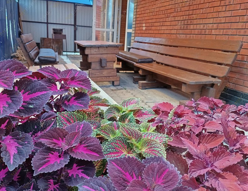 Баня На Волжской, в Хабаровске, Волжская, 19/1 | 23 | 1001sauna.com