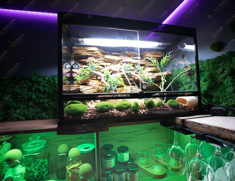 Сауна Chili, в Петрозаводске, Гоголя, 9 строение 3 | террариум питомца | 1001sauna.com