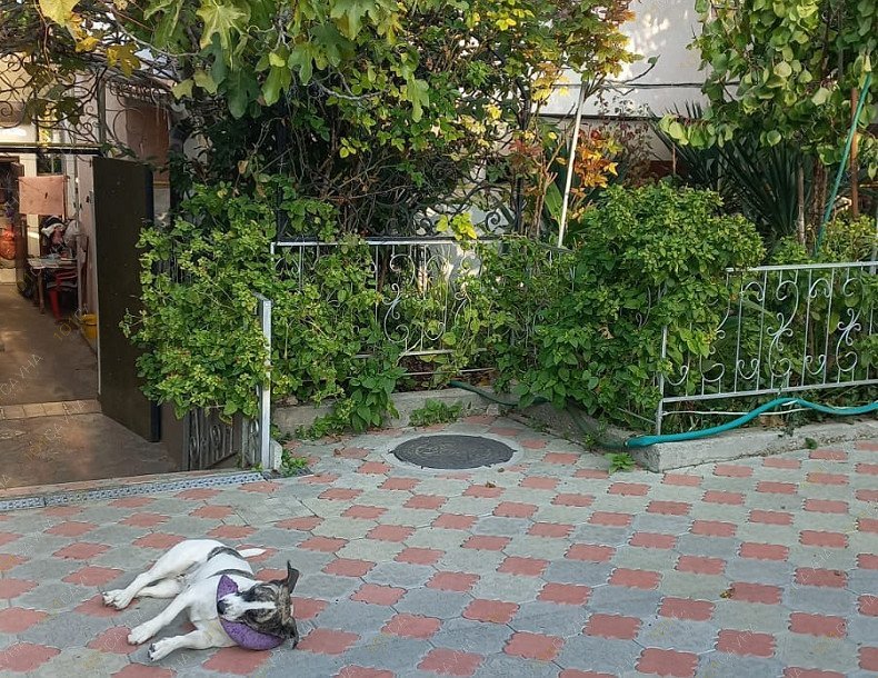 Сауна Марине, в Севастополе, Революции 1905 года, 92 | 111 | 1001sauna.com