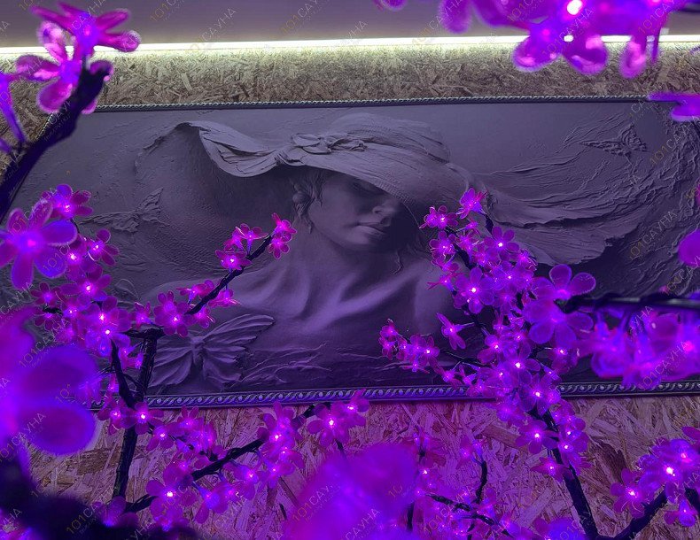 Сауна Седьмое Небо, в Абакане, Пушкина, 103 | 8 | 1001sauna.com