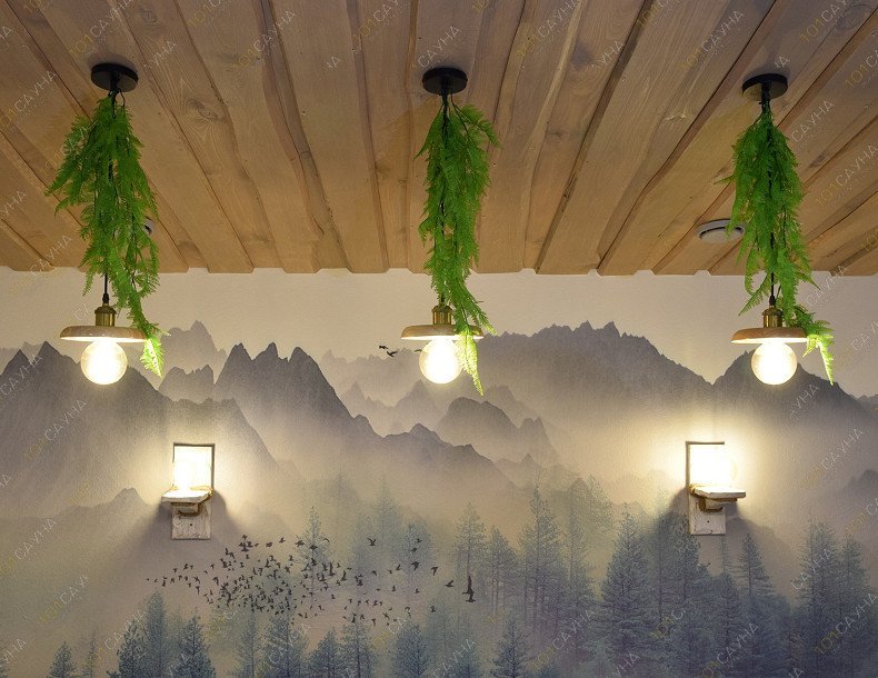 Банный комплекс Все Бани мира, в Новосибирске, Ватутина, 44 | Номер "Финский номер": 7 | 1001sauna.com