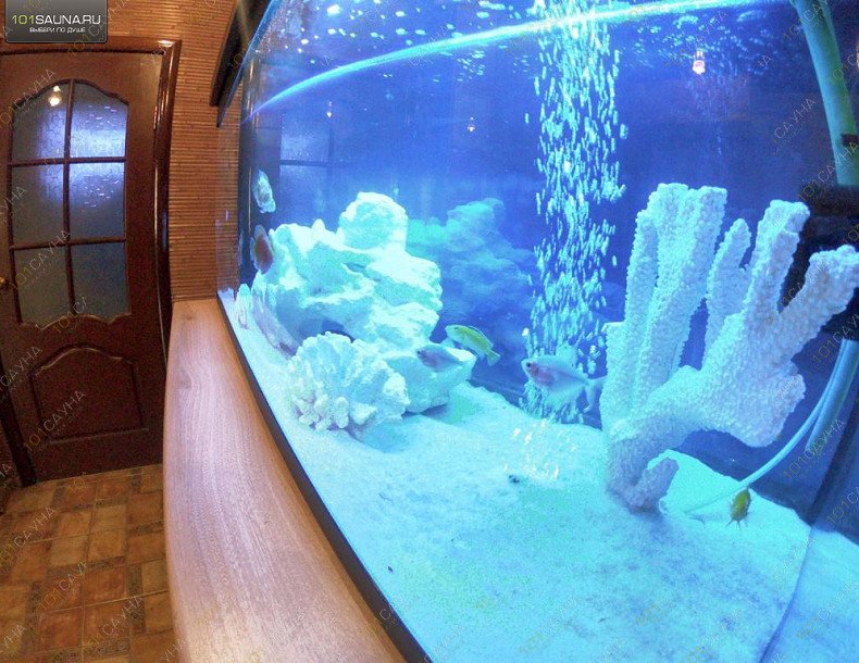 Комплекс Линия саун на Шимановского, 1б, в Хабаровске, Шимановского, 1б | 2 | 1001sauna.com