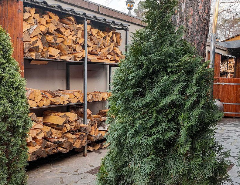 Банный комплекс Маша и Медведь, в Мытищах, Калинина, 4 | Номер "Жар Банька": 9 | 1001sauna.com