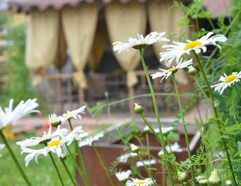 Баня в коттедже Успенка, в Одинцове, 1-е Успенское шоссе, 2 | 12 | 1001sauna.com