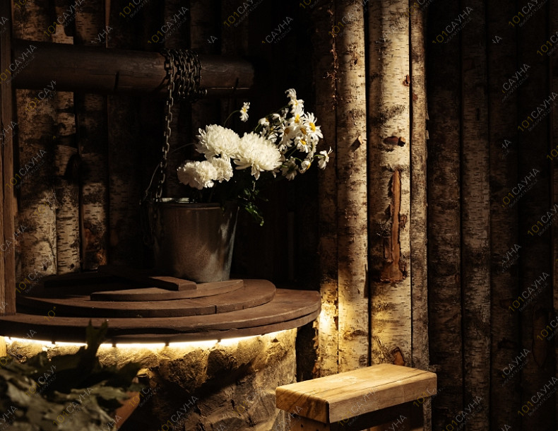 Банный SPA комплекс СИБЕРИЯ, в Санкт-Петербурге, Набережная Обводного канала, 146 | Номер "Мовня": 5 | 1001sauna.com