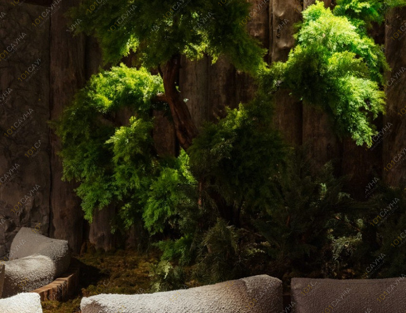 Банный SPA комплекс СИБЕРИЯ, в Санкт-Петербурге, Набережная Обводного канала, 146 | Ресепшн. Фото 5 | 1001sauna.com