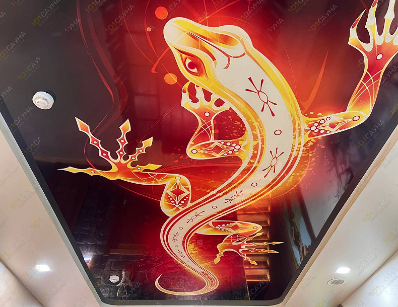 VIP баня на дровах Викинг, в Рязани, Кутузова, 15 | Номер "Зал - Африканское сафари": 9 | 1001sauna.com