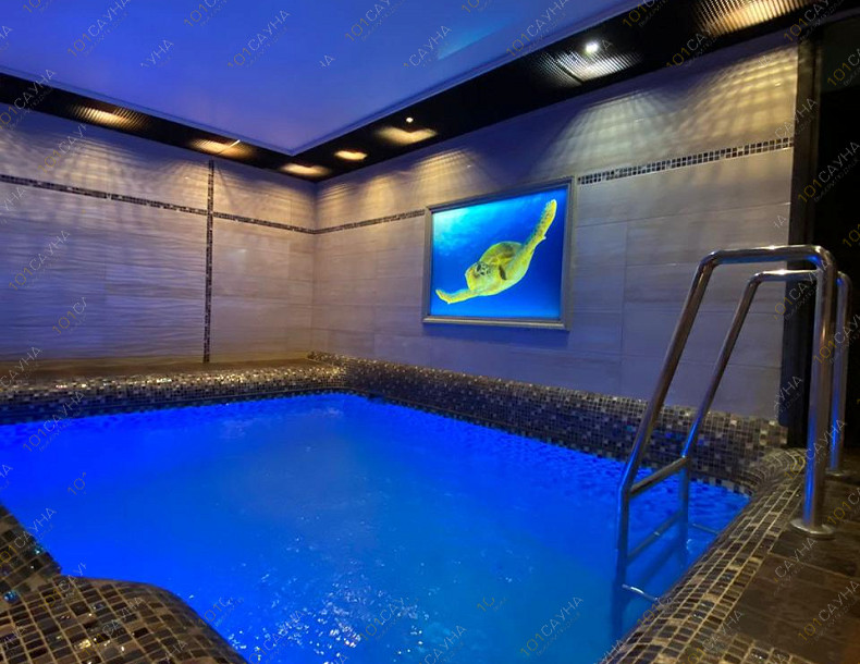 Оздоровительный комплекс Александрия, в Новосибирске, Дмитрия Донского, 26/1 | Номер "Финский номер с бассейном": Финский номер. Фото 1 | 1001sauna.com