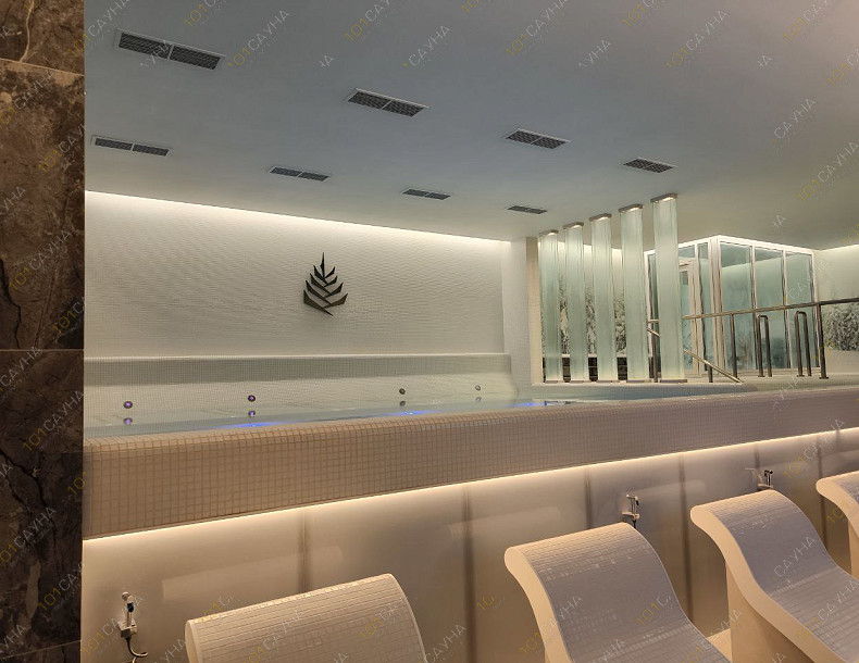 Мужской банный клуб ТайгаПар, в Москве, Пресненская набережная, 4 ст1 | Бассейн | 1001sauna.com