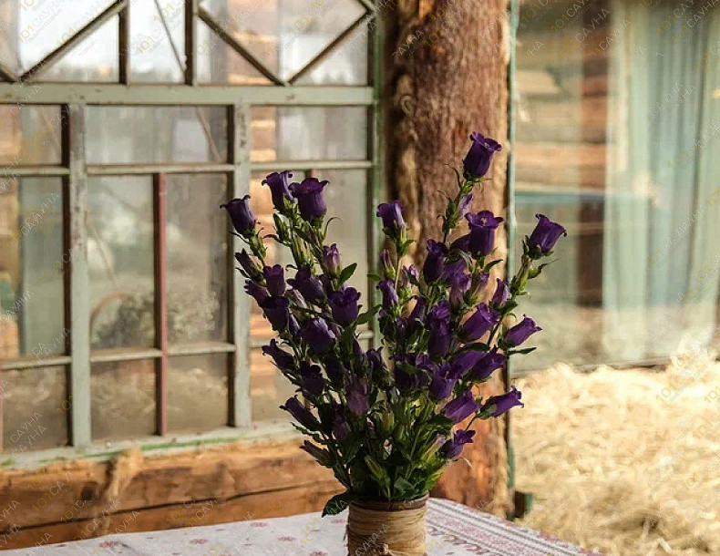 Банный комплекс Алатырь, в Мытищах, Адмиральская, 1 | Номер "Баня «Елань»": Баня «Елань». Фото 9 | 1001sauna.com