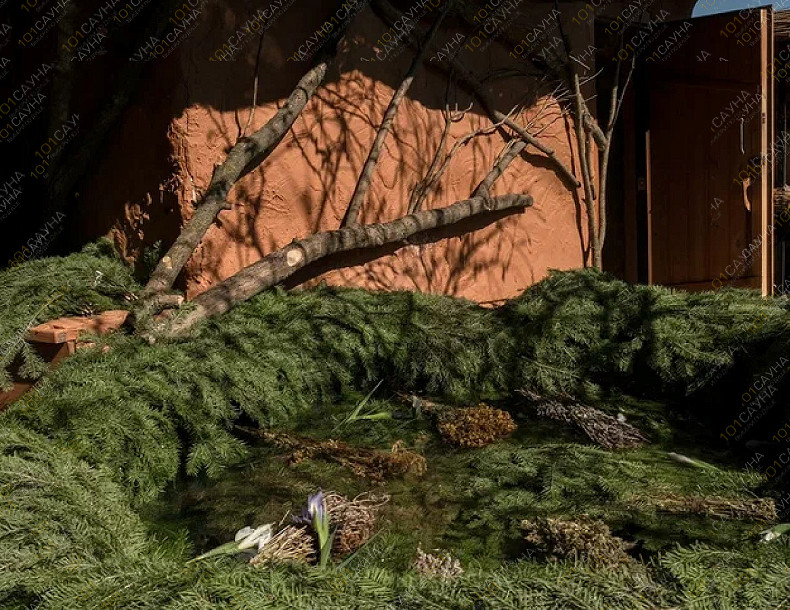 Банный комплекс Алатырь, в Мытищах, Адмиральская, 1 | Номер "Баня знахаря": Баня знахаря. Фото 3 | 1001sauna.com