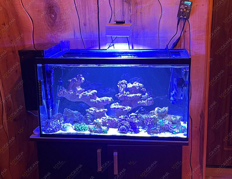 Русская баня на дровах Охотничий привал, в Краснодаре, ул. 40 лет Победы, 2/3 | Ресепшн. Наш аквариум. Фото 1 | 1001sauna.com