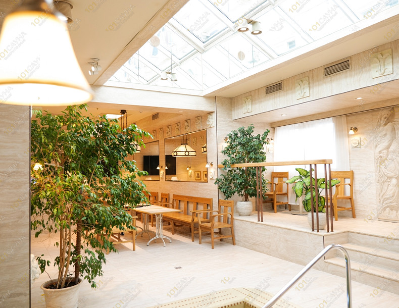 Сауна в гостинице Римские термы, в Москве, Измайловское шоссе 71, корпус а | Номер "Сауна": 8 | 1001sauna.com