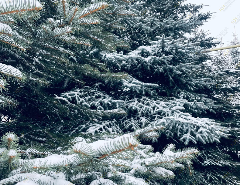 Сауна в коттедже Солди на Зеленом, в Екатеринбурге, Зелёный пер, 13а | 7 | 1001sauna.com