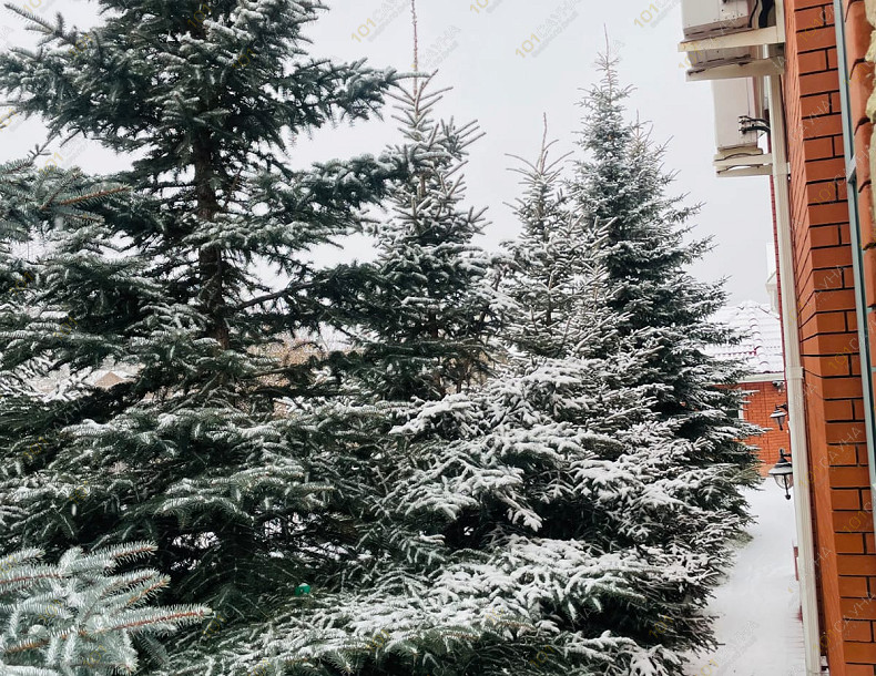 Сауна в коттедже Солди на Зеленом, в Екатеринбурге, Зелёный пер, 13а | 8 | 1001sauna.com