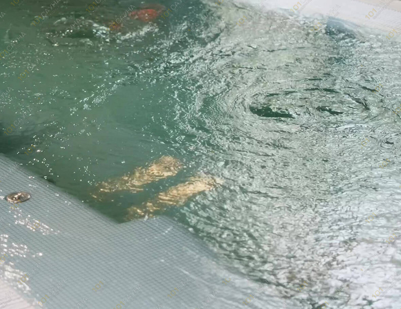 Банный SPA комплекс Parklane Resort  SPA, в Санкт-Петербурге, ул. Рюхина, 9 | Parklane Resort & SPA — СПА-программы и уходы для тела | 1001sauna.com